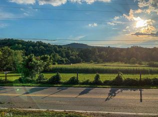 881 Chestnut Gap Rd, Blue Ridge, GA 30513