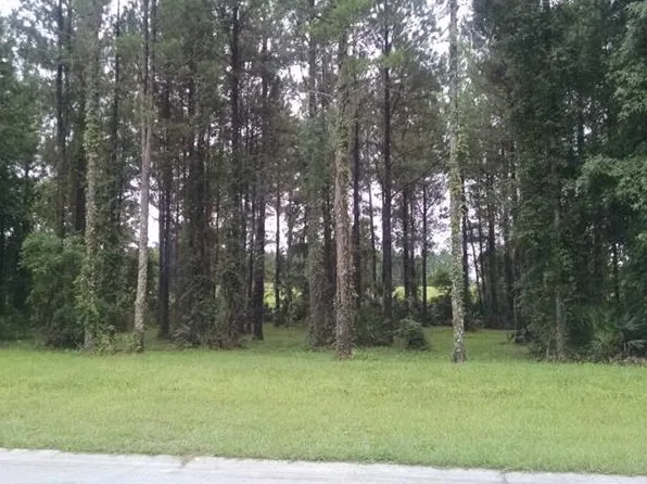 19572 Autumn Oak Ln, Brooksville, FL 34601
