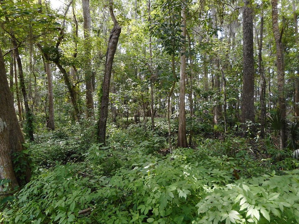 DSCN0546[1]