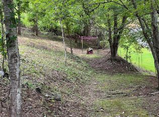 1 Farmers Cove Rd, Whittier, NC 28789