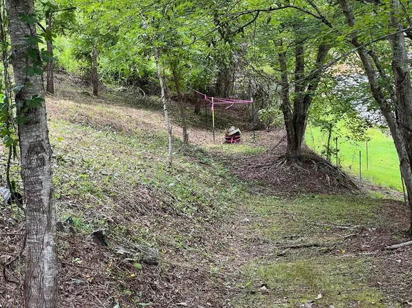 1 Farmers Cove Rd, Whittier, NC 28789