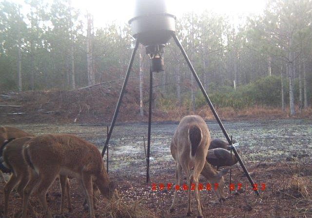 2nd image of  Rocky Creek Rd