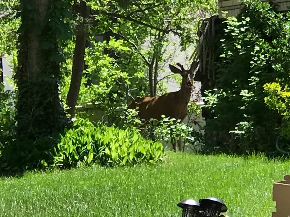 2113 E Fardown Ave, Salt Lake City, UT 84121