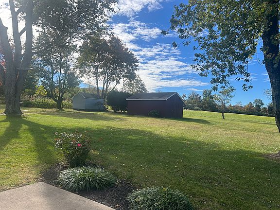 Back yard view