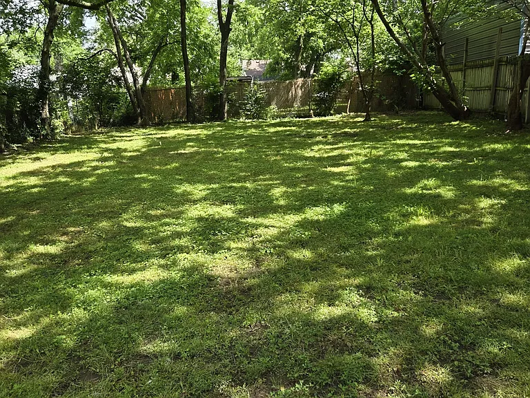 239 Elm St — Photo 6