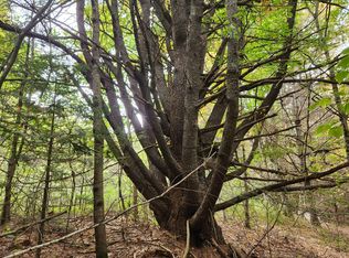 R11-L6C New Harrison Rd, Oxford, ME 04270