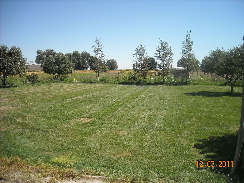 Backyard from living room