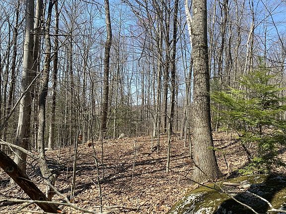 3rd image of 15 Colebrook River Rd
