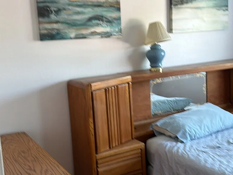 35357 Ramsgate Dr — Photo 1