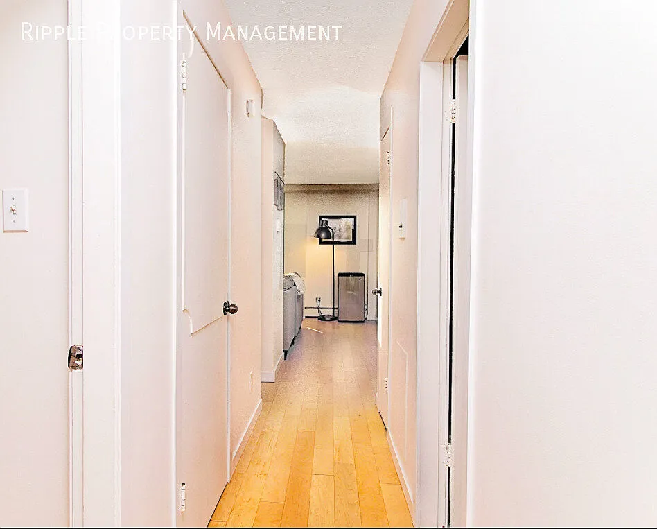Modern 2 Beds, 1.5 Baths Apartment/Condo | No Pets Allowed — Photo 2
