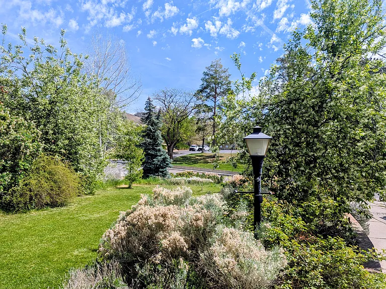 View from the front porch