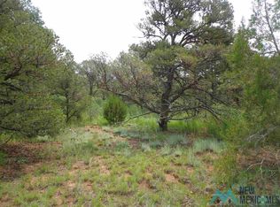 8 Ojitos Frios Rd, Las Vegas, NM 87701