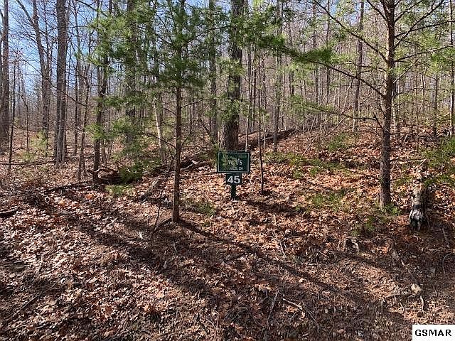 1st image of 45 Patriot Ln #45