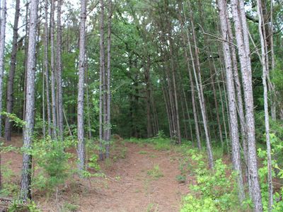 6400 Tate Marshall Rd, Coldwater, MS, 38618