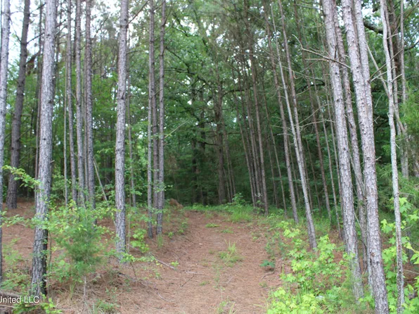 6400 Tate Marshall Rd, Coldwater, MS 38618