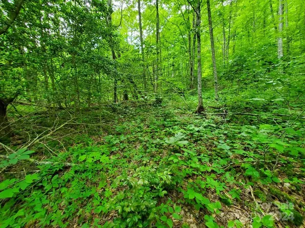 10 Mountain Blue Rd, Tuckasegee, NC 28783