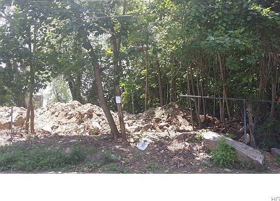 3rd image of 35 Wellesley Ave
