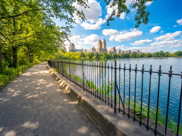 8 East 96th Street image 17 of 24