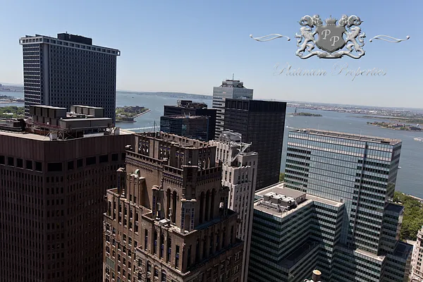 Rented by Platinum Properties | media 18