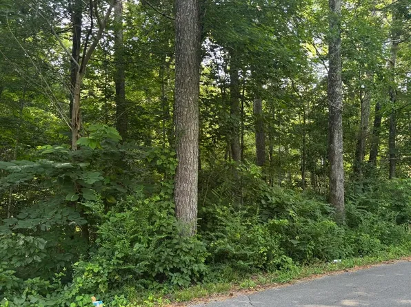 0 Tony Ave, Russellville, AL 35653