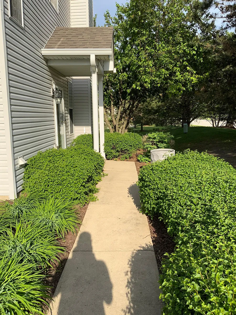 Walkway to the entrance - 1996 Golden Gate Ln