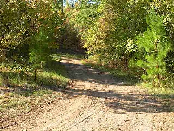 2nd image of 19881 County Road 373