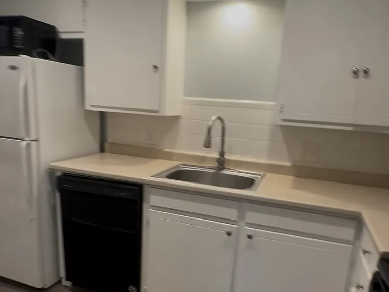 Large sink with pull down sprayer