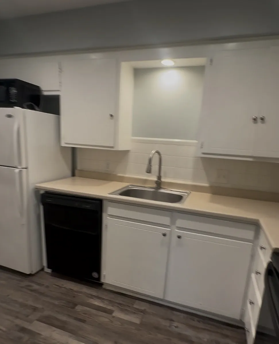 Large sink with pull down sprayer - 210 Vz County Road 1501