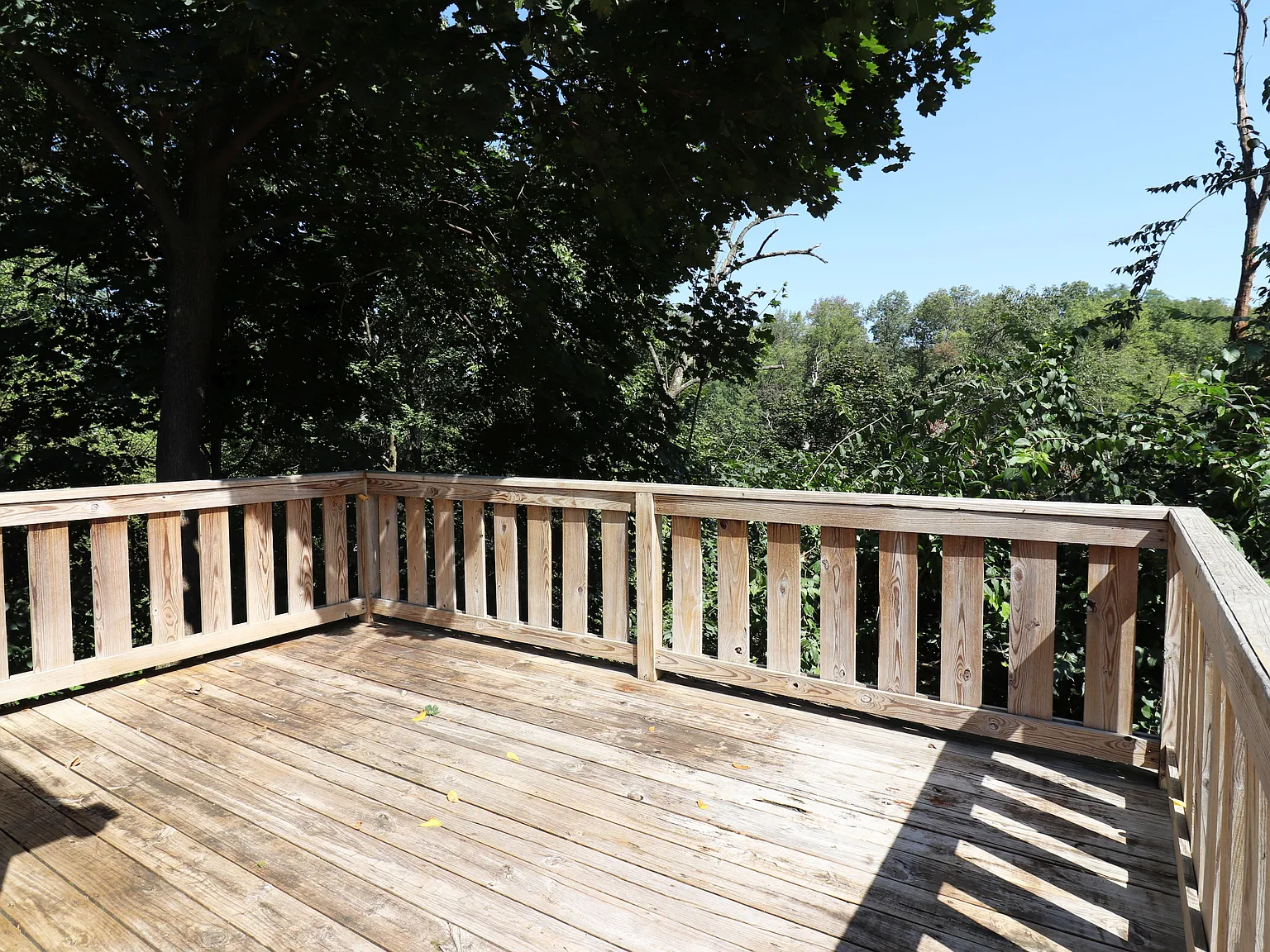 1 bed, $1,350 — Photo 2