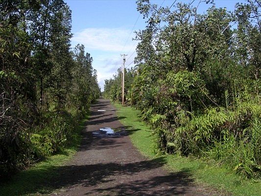 2nd image of Road 9 Koloa Maoli Lot 5557
