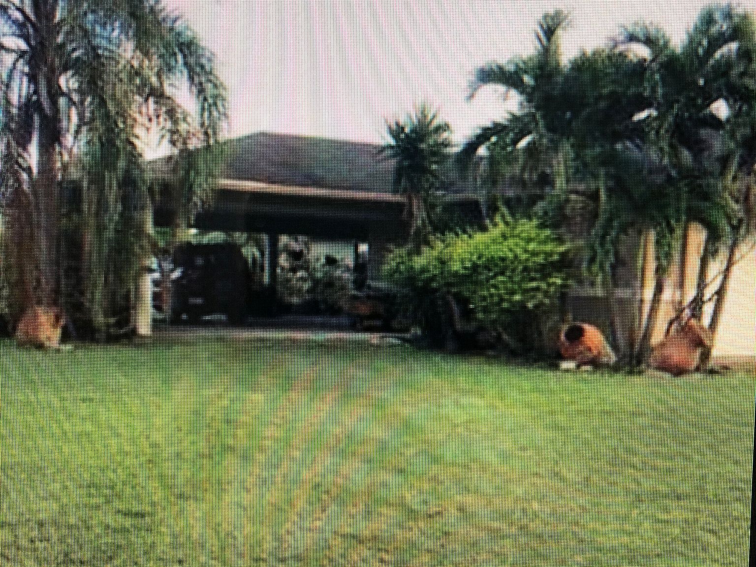 20710 SW 248th St, Homestead, FL 33031 | Zillow