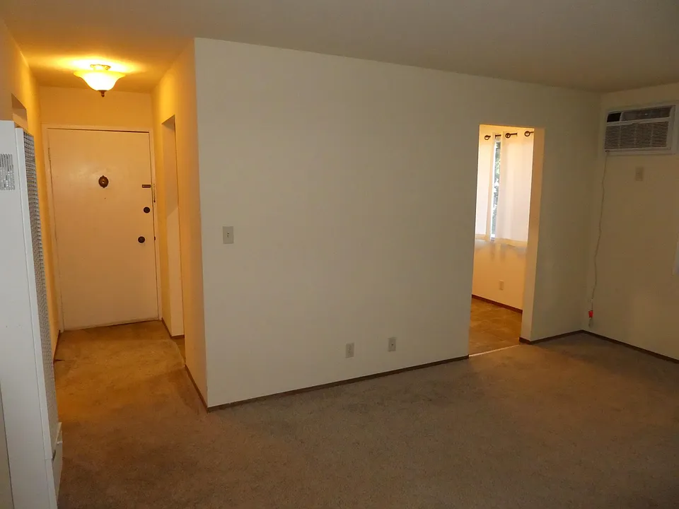 Living / Bedroom Area.