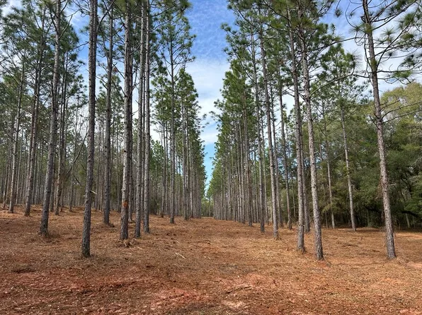 23.79 Ac Cty Rd #61, Hartford, AL 36344