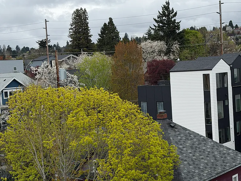 920 NW 56th St #A — Photo 29