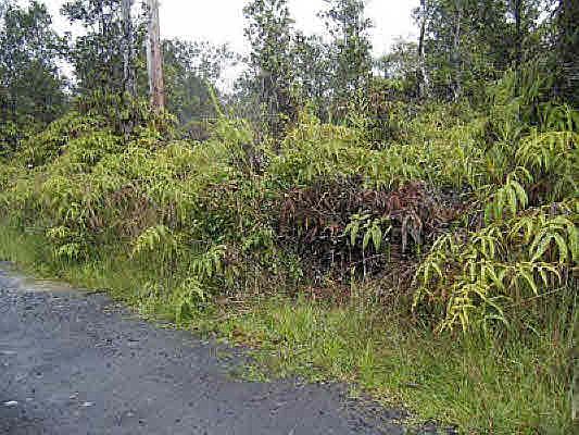 2nd image of LOT 58