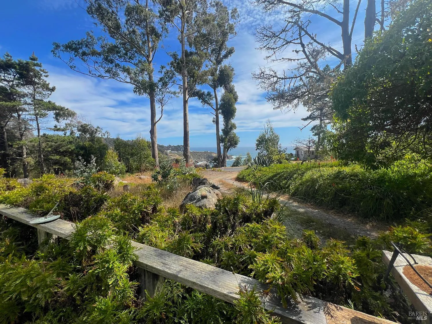 23285 Highway 1 - Photo 3