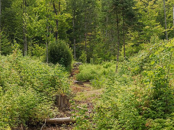 3rd image of 249 Weber Brook Lane #2
