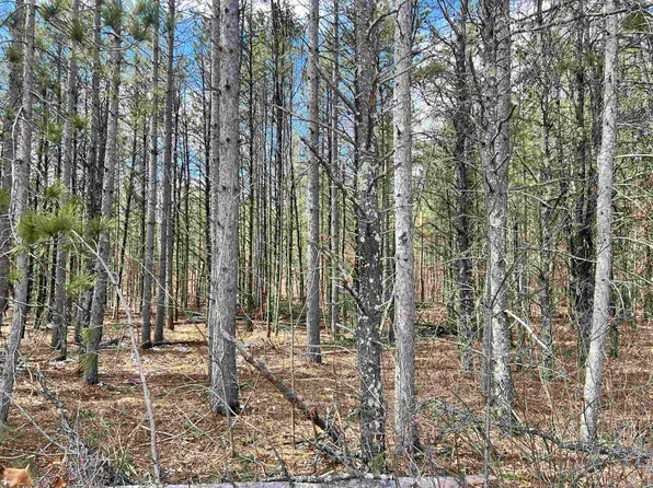 Mickey Rd #23, Crivitz, WI 54114