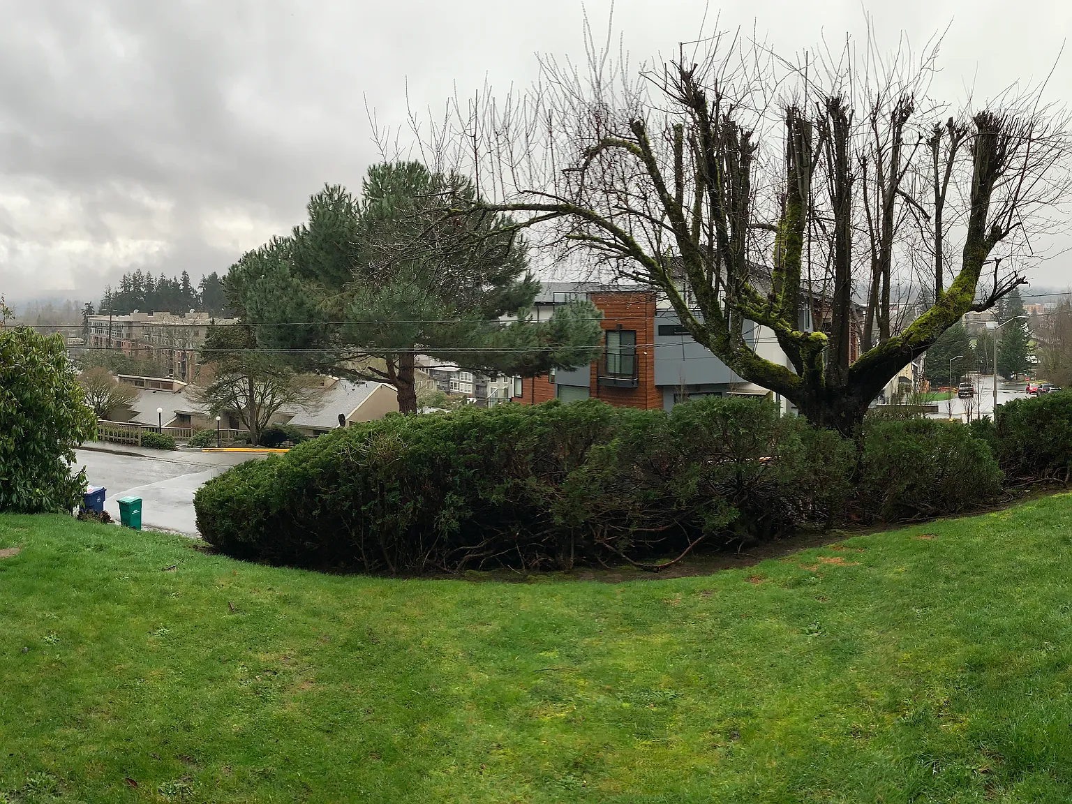 1 bed, 680 sqft, $1,695 — Photo 4