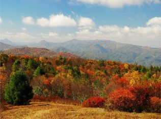 2105 Adair Mill Rd, Cleveland, GA 30528