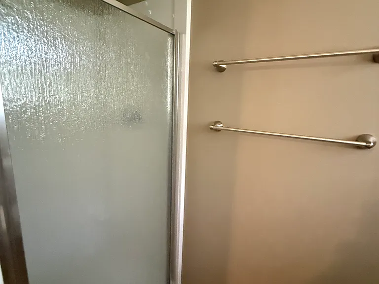 Primary bedroom bathroom shower.