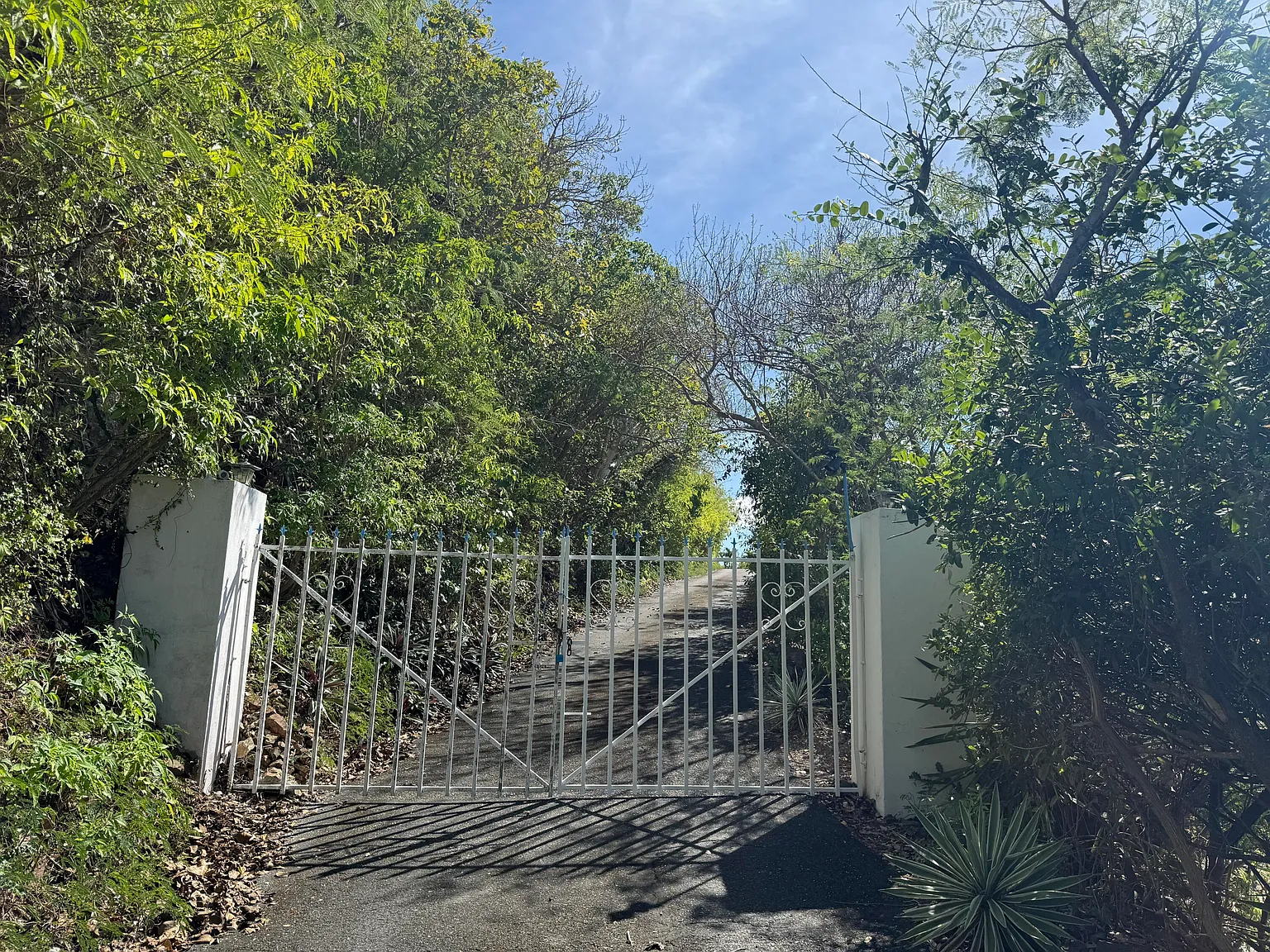 2 bed, $3,200 — Photo 2