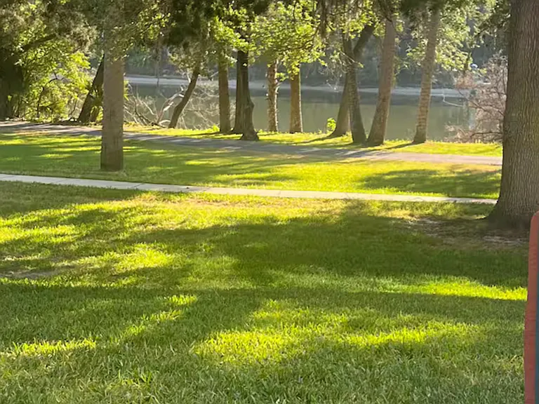 100 Palm Harbor Pkwy #16 — Photo 29