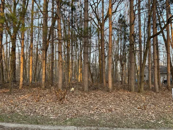 9127 Pineview Lake Dr, Linden, MI 48451