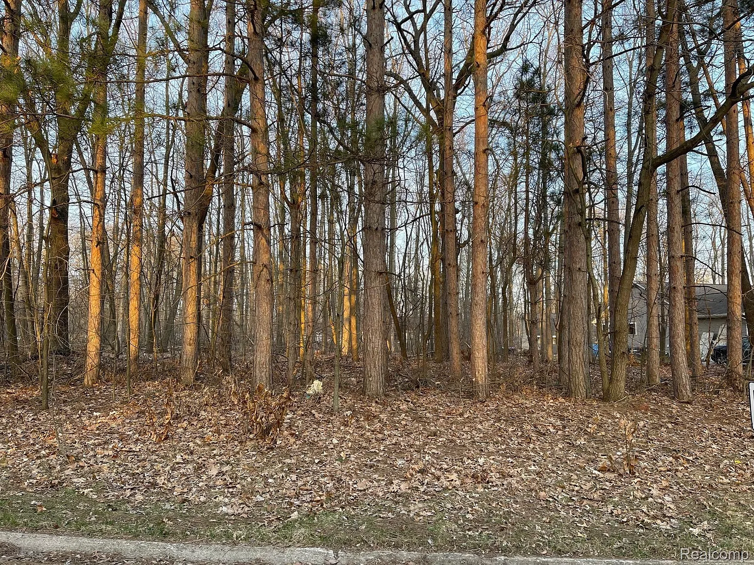9127 Pineview Lake Dr photo 1