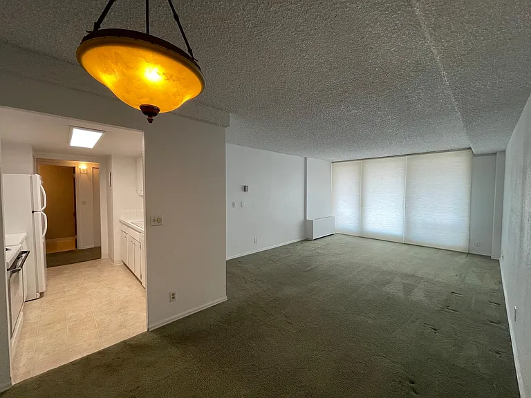 421 S Howes St #703 — Photo 28