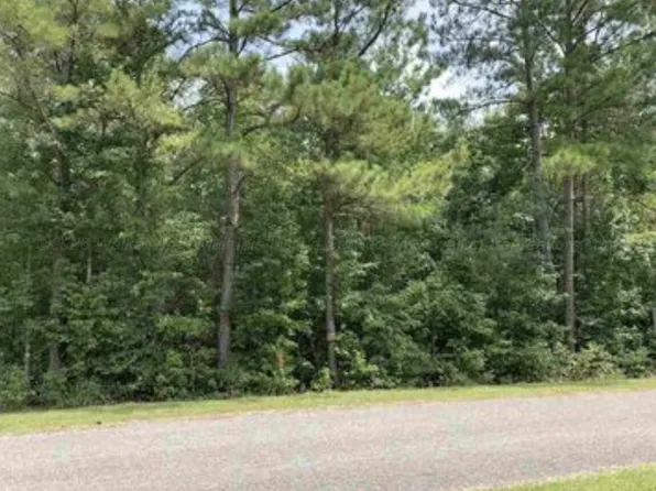 221 Odonnell Rd, Ashville, AL 35953