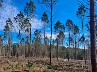 Old Tuscaloosa Rd, Jasper, AL 35501