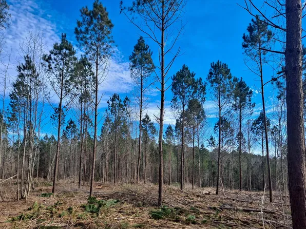 Old Tuscaloosa Rd, Jasper, AL 35501