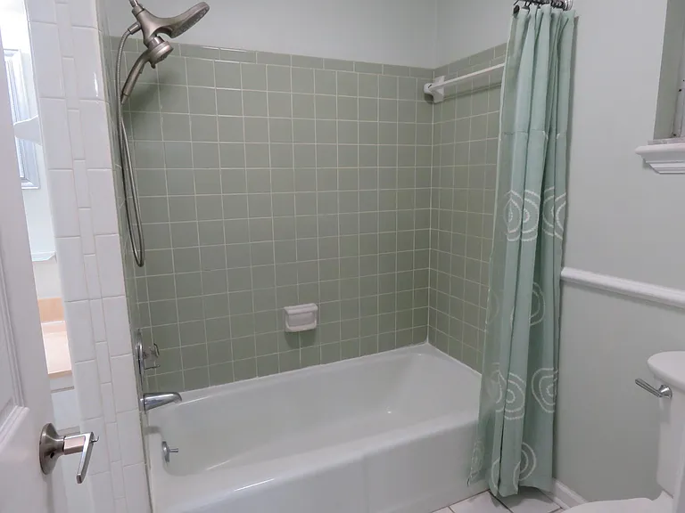 Bathroom #1 for master